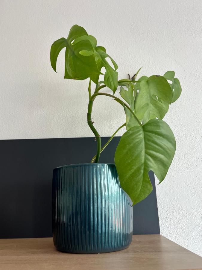 Apartamento Monstera I Kolín Exterior foto